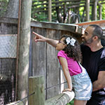 Father-and-Daughter-at-John-Ball-Zoo